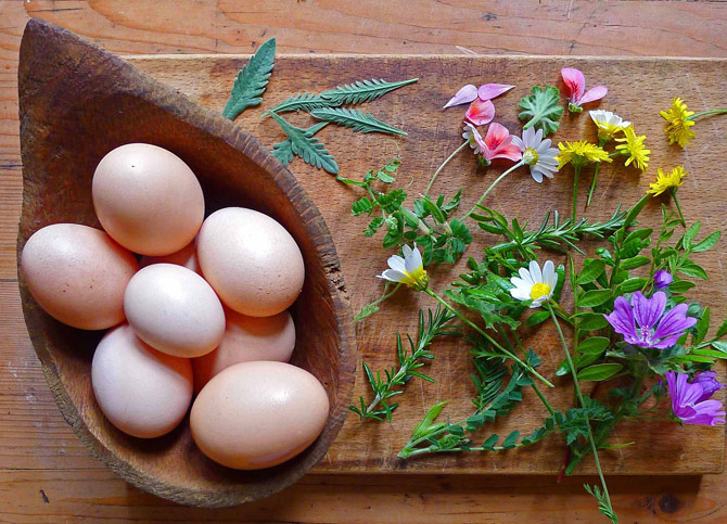 1b-eggs-flowers-leaves-small-flipped