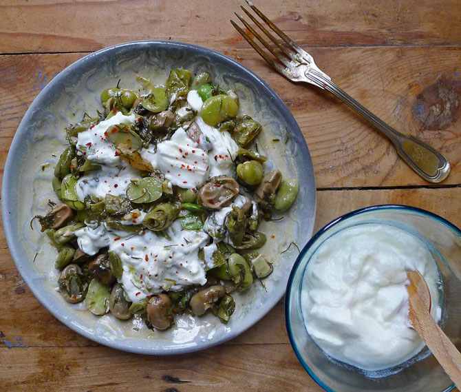 3-fava-yogurt-small