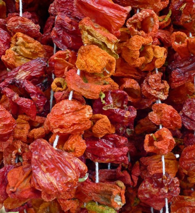 Dried sweet peppers ready to be stuffed hang at the market.