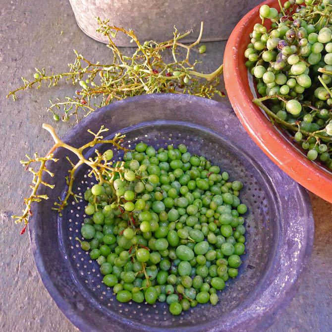 5_grapes_stems1_small