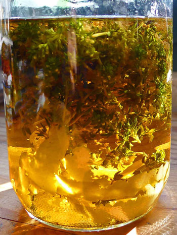 6-thyme-lemon-liqueur-jar-small_0