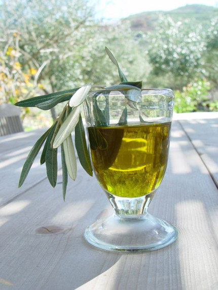 Olive-OIL_430