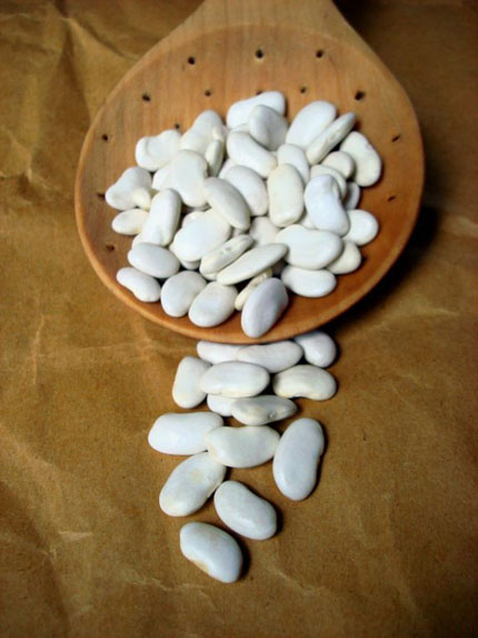 Beans-WHITE_430